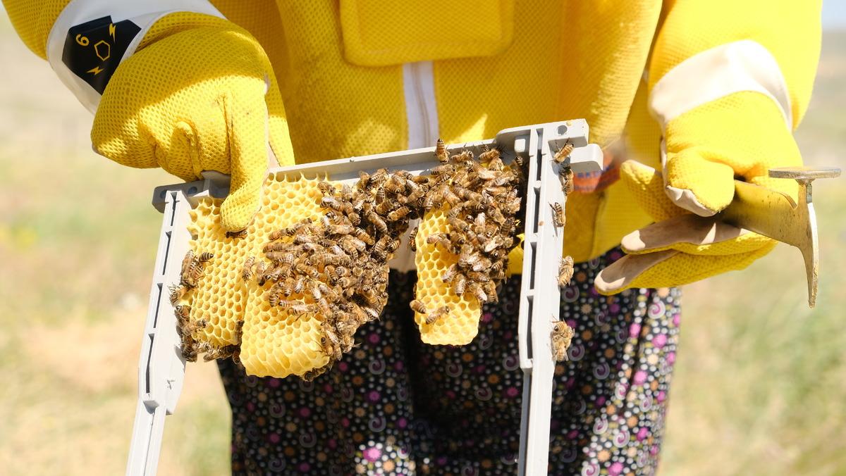 20 kovanla başladı 60 a çıktı! Ekmek kapısı oldu 3