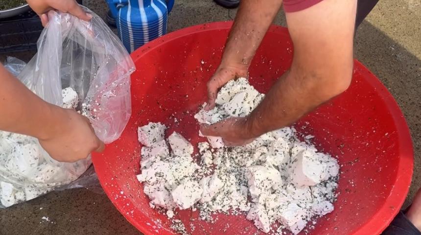 Yılda birka&ccedil; ay bulunuyor, vatandaşlar stok yapmak i&ccedil;in yarışıyor: 100 kilo alan bile var