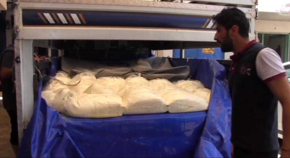 Yılda birkaç ay bulunuyor, vatandaşlar stok yapmak için yarışıyor: 100 kilo alan bile var 2