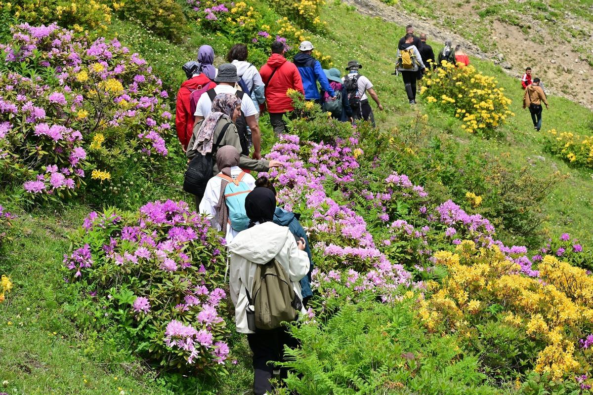 Harabelerin arasında kayıp yolu keşfettiler! Her kilometre farklı evren 6