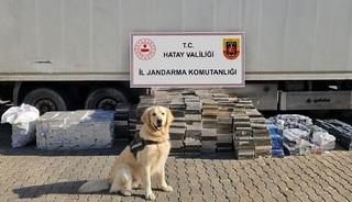 Hatay'da tırda 30 bin paket ka&ccedil;ak sigara ele ge&ccedil;irildi