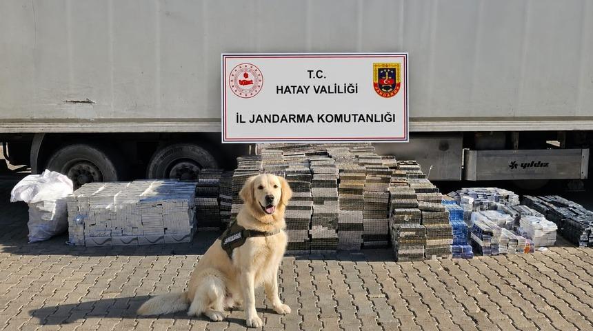 Hatay'da tırda 30 bin paket ka&ccedil;ak sigara ele ge&ccedil;irildi