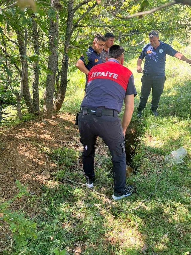 Definecilerin kazdığı &ccedil;ukura d&uuml;şen boğa kurtarıldı 1