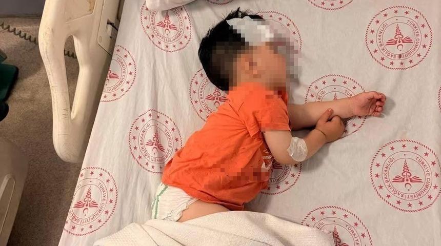 Sokak k&ouml;peklerinin saldırdığı 1 bu&ccedil;uk yaşındaki &ccedil;ocuk yaralandı
