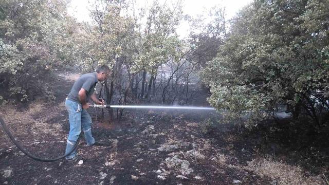 Orman yangını korkuttu 2