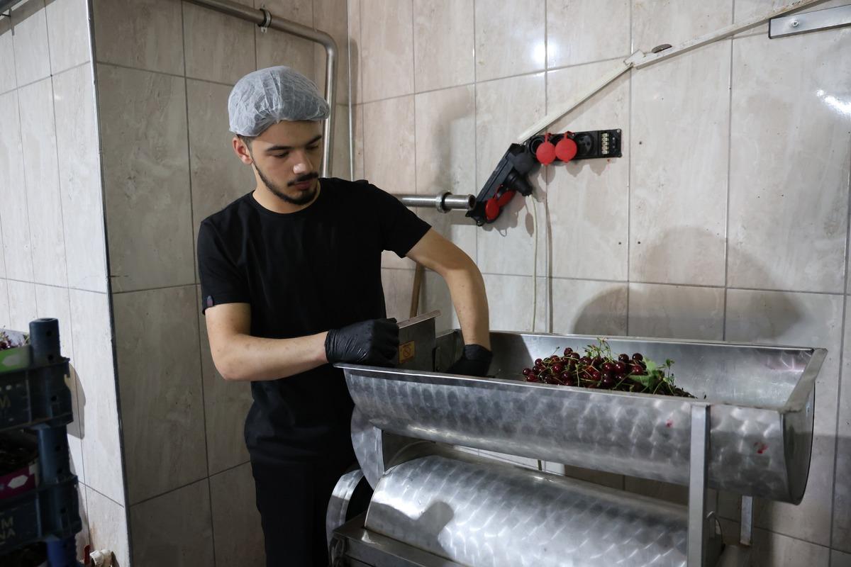 G&uuml;nde 1 tona kadar &uuml;retiliyor, kilosu 700 liradan satılıyor 1
