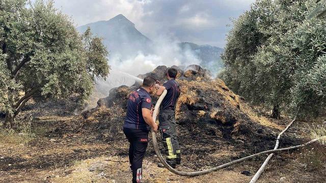 Osmaniye&rsquo;de bah&ccedil;edeki saman balyaları yandı, zeytin fidanları zarar g&ouml;rd&uuml; 1