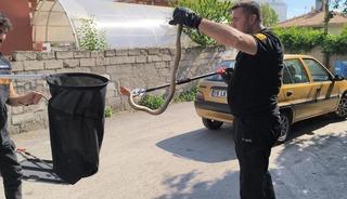 Otomobilin altına giren yılan itfaiye ekiplerince &ccedil;ıkarıldı