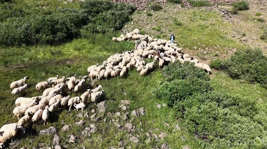 Yaylacılıkta yeni d&ouml;nem: 3 bin TL yerine 30 TL &ouml;deyecekler