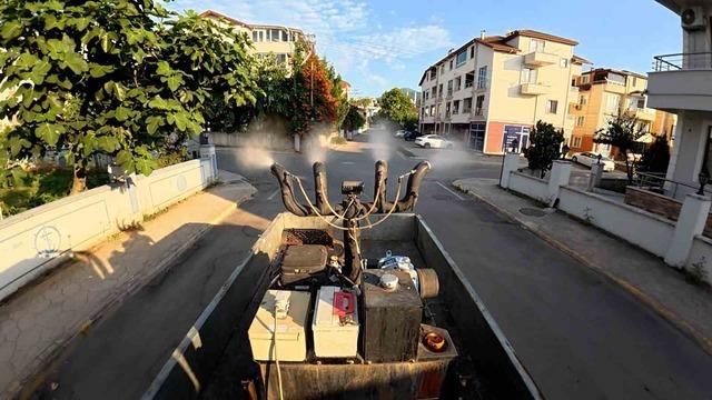 Başiskele’de sinek ve haşerelere karşı ilaçlama çalışmaları sürüyor 1
