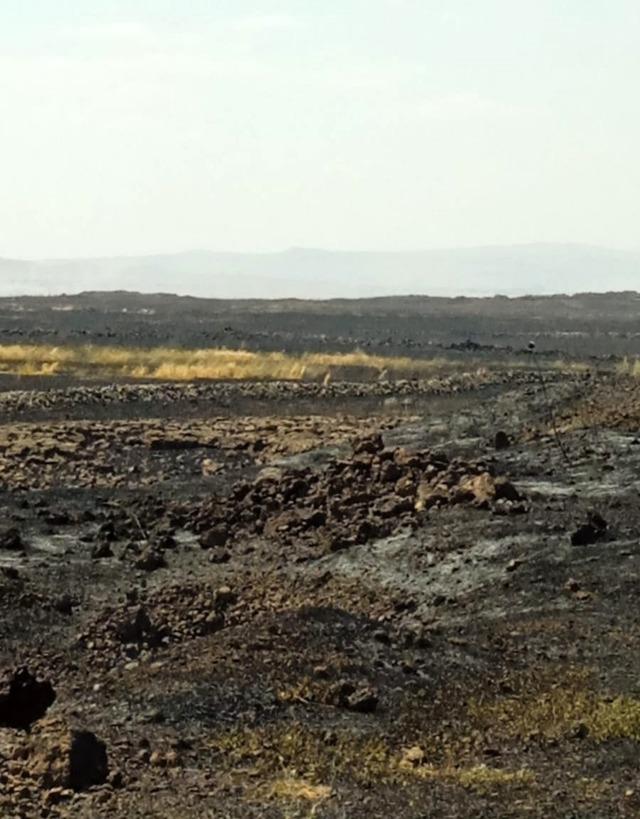 Mardin’de anız yangınına havadan ve karadan müdahale ediliyor 2