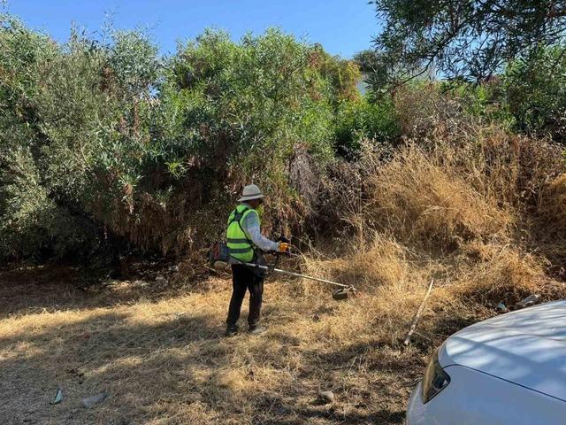 Bodrum da çevre ve yangın güvenliği için kapsamlı ot temizliği 4