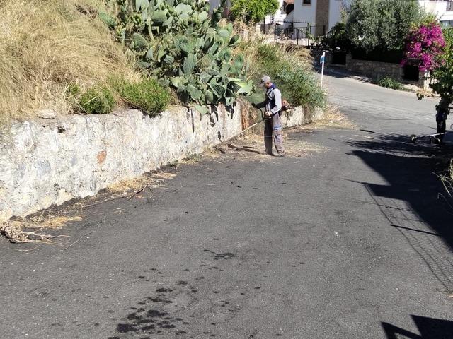 Bodrum da çevre ve yangın güvenliği için kapsamlı ot temizliği 3