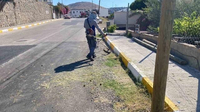 Bodrum da çevre ve yangın güvenliği için kapsamlı ot temizliği 2