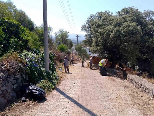 Bodrum da çevre ve yangın güvenliği için kapsamlı ot temizliği 1