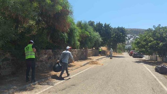 Bodrum'da çevre ve yangın güvenliği için kapsamlı ot temizliği