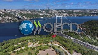 Türkiye ile OECD arasında İstanbul Merkezi’nin kurulmasına ilişkin protokol onaylandı