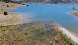 Yozgat&rsquo;ta badem ağa&ccedil;ları sular altında kaldı