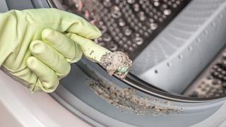 3 damlası bile çamaşır makinesindeki küfü söküyor! Çamaşır suyunu unutturacak yöntem