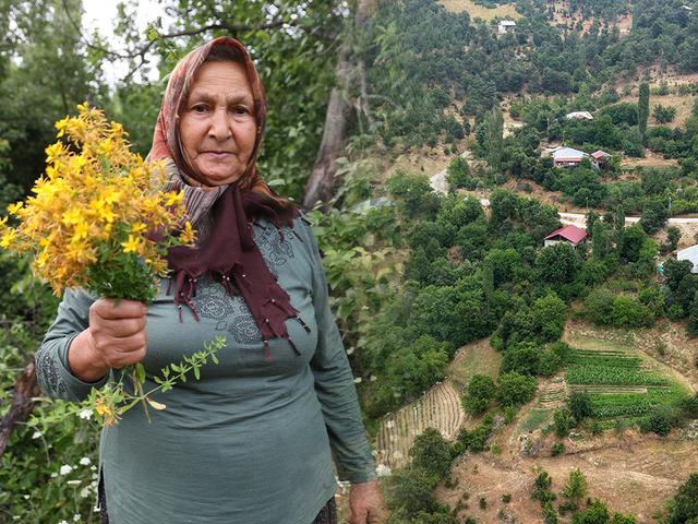 1200 rakımlı k&ouml;yde doğal şifa: 40 g&uuml;n g&uuml;neşte bekletiyorlar