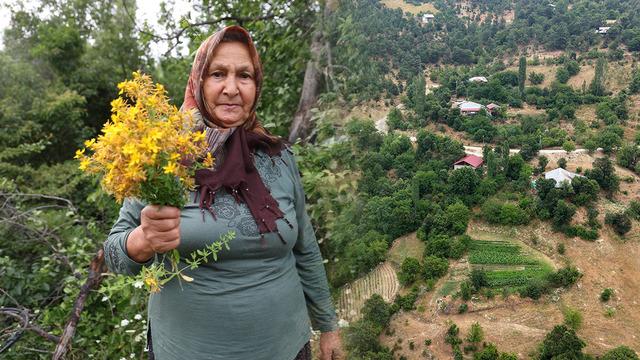 1200 rakımlı köyde doğal şifa: 40 gün güneşte bekletiyorlar