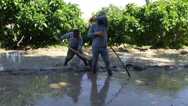 Batman’da sıcaktan bunalan çiftçiler bakın nasıl serinledi 1