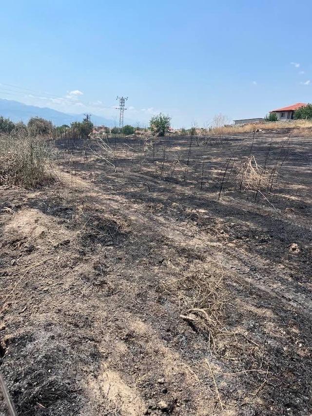 Otluk alanda &ccedil;ıkan yangın b&uuml;y&uuml;meden s&ouml;nd&uuml;r&uuml;ld&uuml; 2