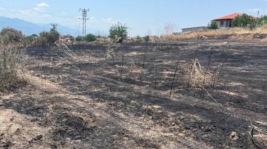 Otluk alanda &ccedil;ıkan yangın b&uuml;y&uuml;meden s&ouml;nd&uuml;r&uuml;ld&uuml;