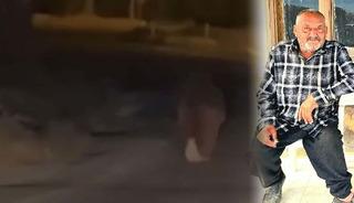 Evinde uyurken ayı saldırdı: &Ouml;ld&uuml;rd&uuml; ve ka&ccedil;tı
