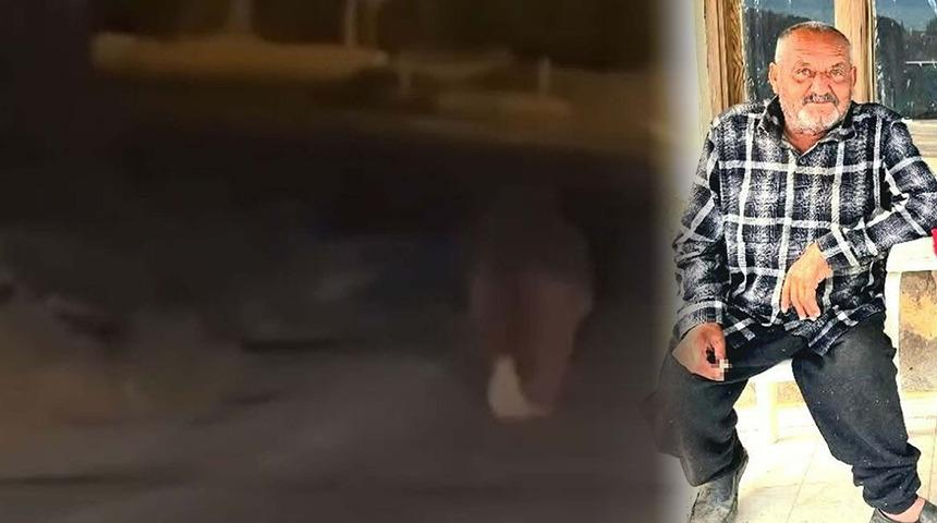 Yer: İzmir! Evinde uyurken ayı saldırdı: &Ouml;ld&uuml;rd&uuml; ve ka&ccedil;tı