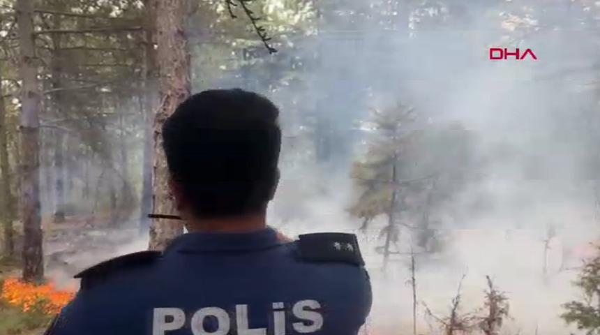 K&uuml;tahya'da orman yangını! Kısa s&uuml;rede yayıldı