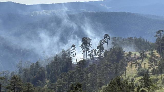 Kastamonu'da çıkan orman yangınında 7,5 dönüm alan zarar gördü