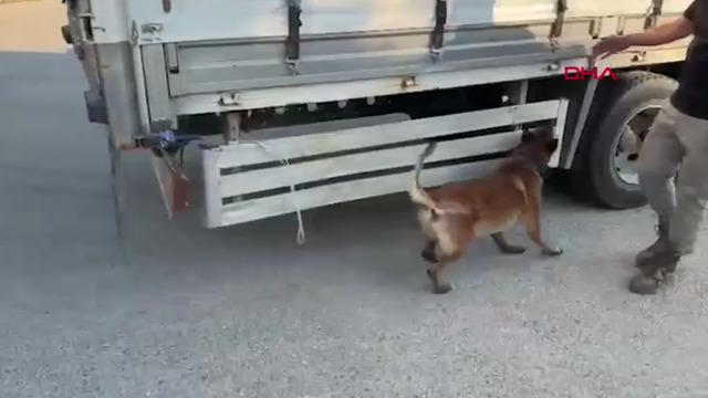 Ankara'da kaçakçılık operasyonu! 30 bin adet gümrük kaçağı puro ele geçirildi
