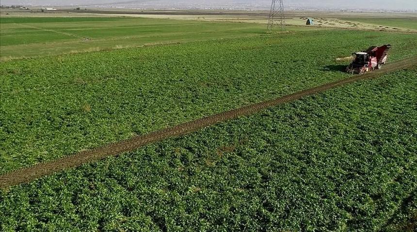 S&ouml;zleşmeli pancar &uuml;reticilerine 2,8 milyar TL avans &ouml;demesi
