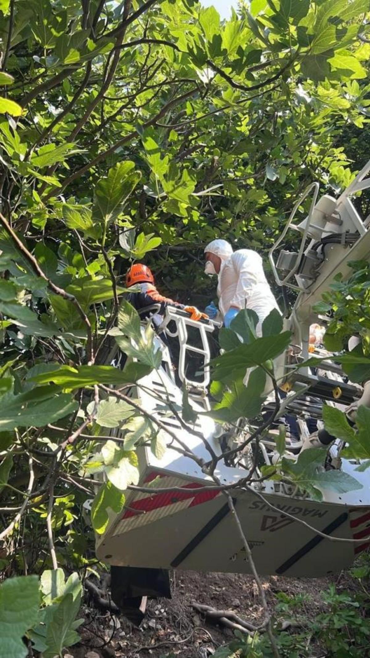 Yer: Hatay! Koku ihbarına giden ekipler ağa&ccedil;ta asılı ceset buldu 2
