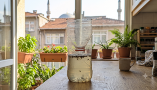 Bu basit y&ouml;ntem evdeki t&uuml;m b&ouml;cekleri avlayacak!