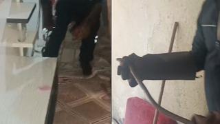 Hakkari’de eve giren yılan paniğe neden oldu