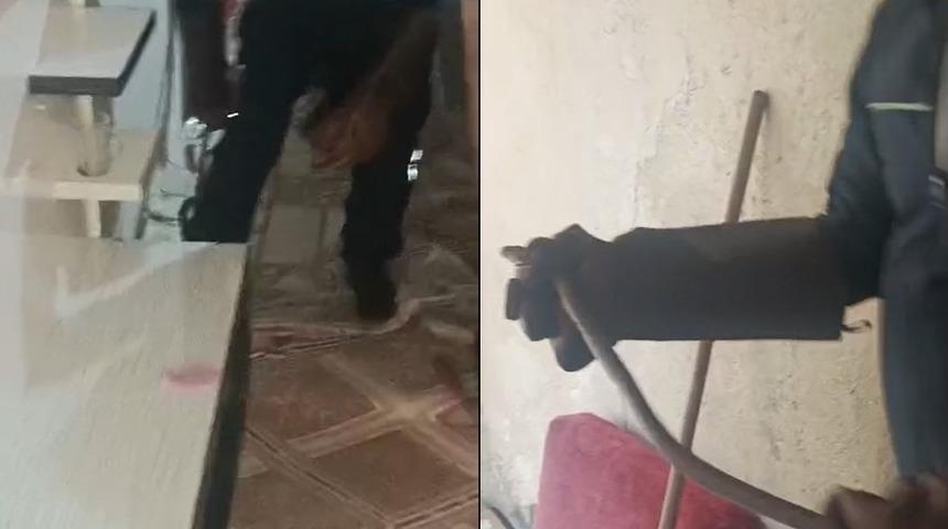 Hakkari&rsquo;de eve giren yılan paniğe neden oldu
