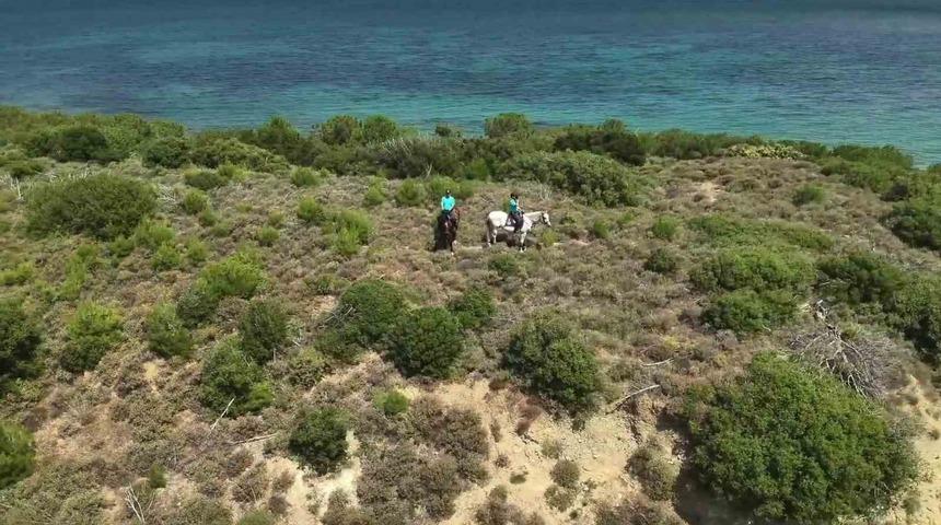 &Ccedil;anakkale&rsquo;de orman yangınlarına karşı ekipleri sahada