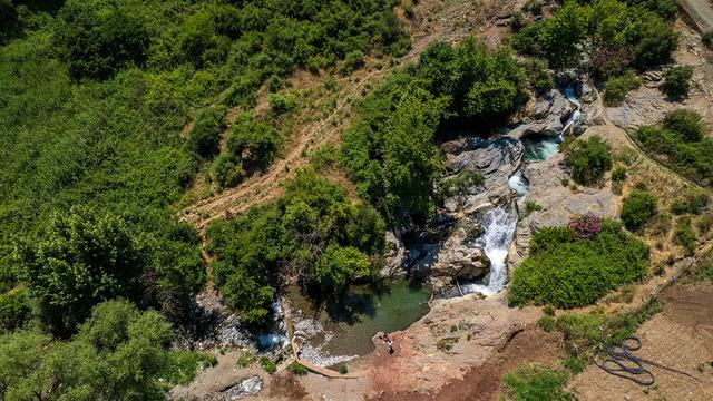Akın ediyorlar! Çöplüğe döndü, ölümle burun buruna gelen var