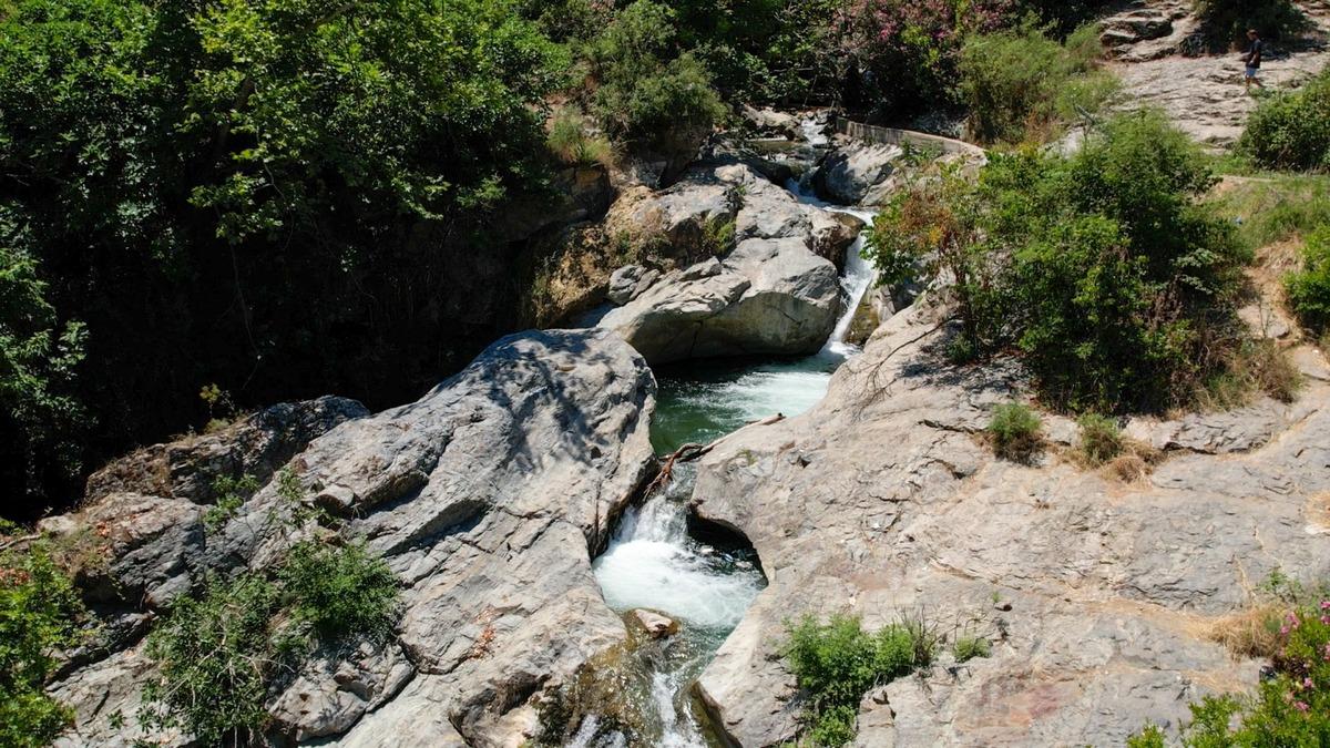 Akın ediyorlar! &Ccedil;&ouml;pl&uuml;ğe d&ouml;nd&uuml;, &ouml;l&uuml;mle burun buruna gelen var 2