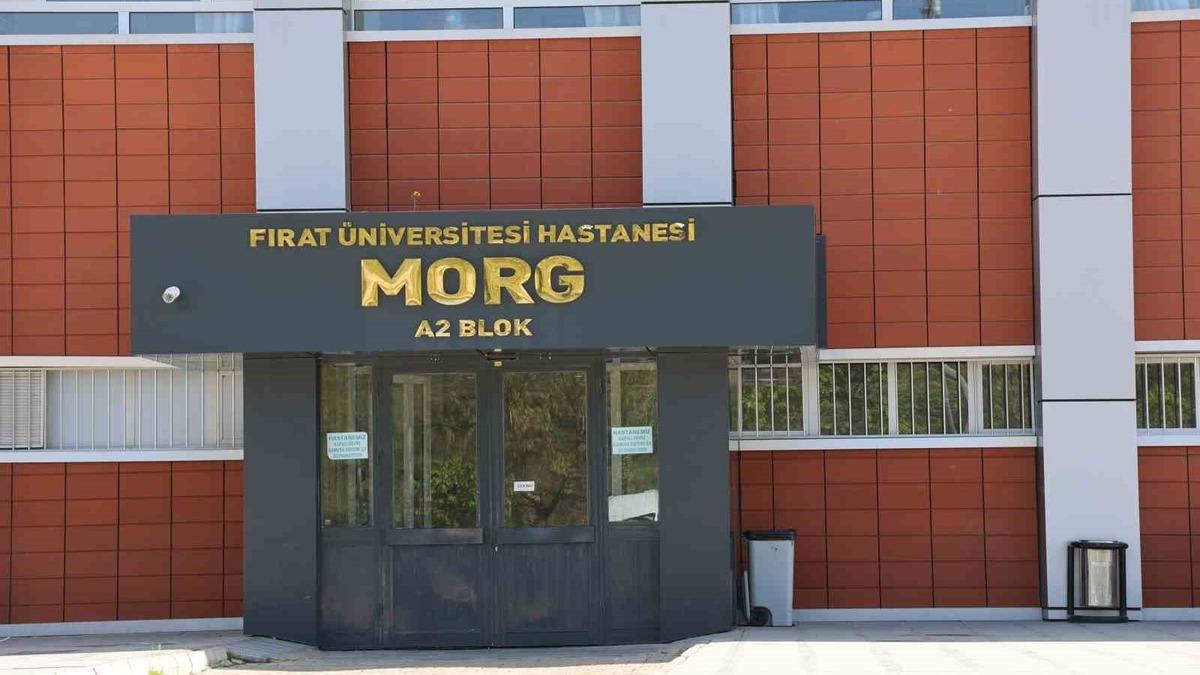 Elazığ’da iş makinesinin altında kalan işçi, hayatını kaybetti