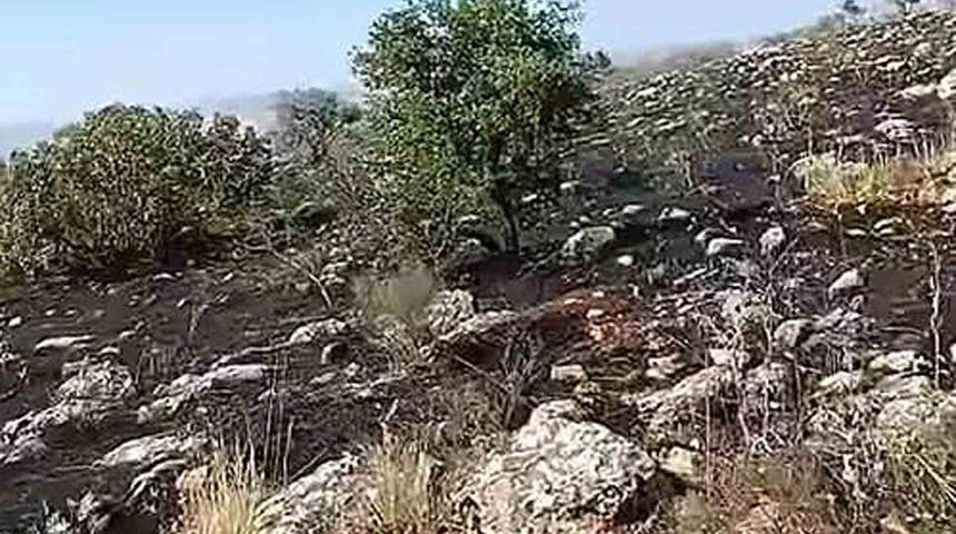 Araban&rsquo;da fıstıklık ve otluk alanda yangın