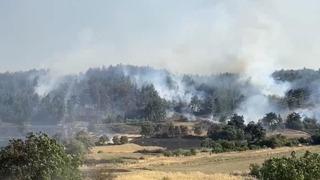 Balıkesir'de orman yangınına müdahale sürüyor