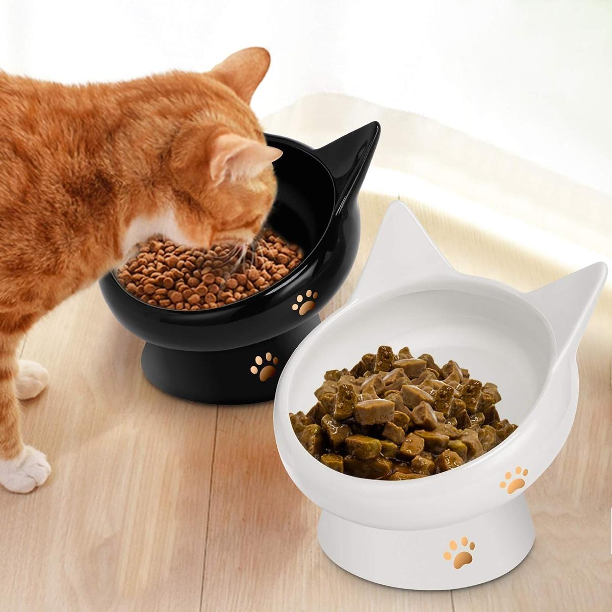 Kediniz veya köpeğiniz aslında size ne anlatmak istiyor? Kaplarını beğenmediklerinde yaptıkları 10 hareket 4