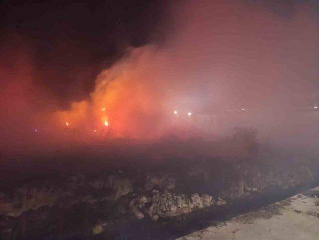 Burhaniye’de saman yangını 4 saat de söndürüldü 1