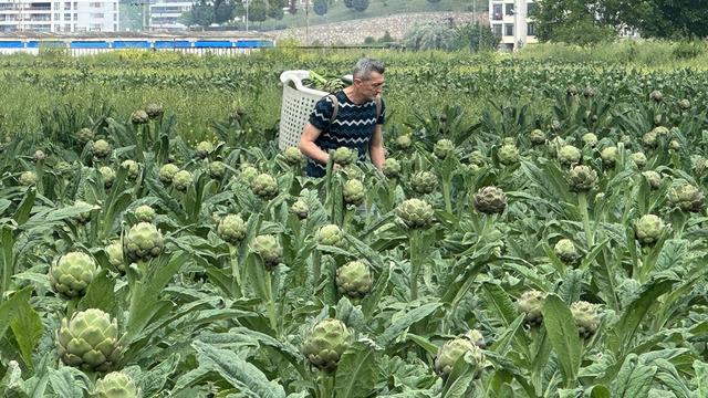 Bir il hamle yaptı, lider değişiyor: Yoğun talep oldu, yöneldiler