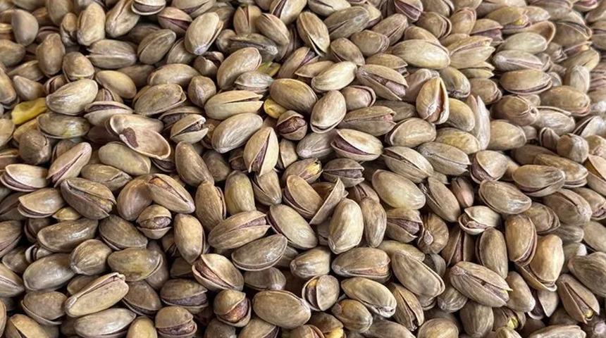 T&uuml;rkiye'nin fıstık ihracatı yılın ilk yarısında 60,8 milyon dolar oldu