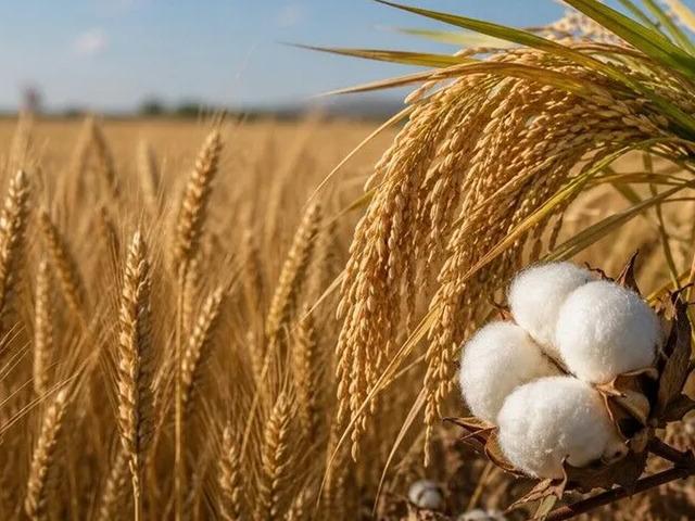 İlk yarıya damga vurdular: Fiyatlarda savaş ve El Nino etkisi