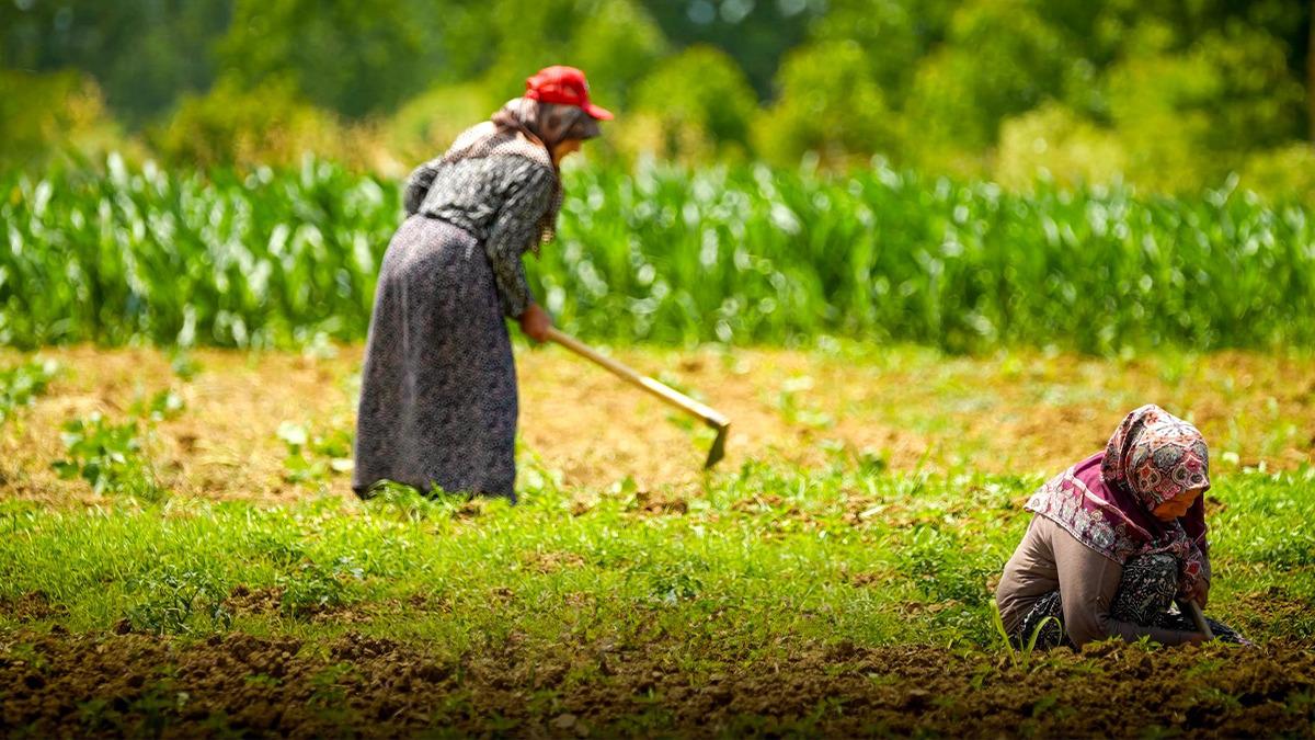Kocaeli de tarım ve hayvancılığa 7 yılda 1,5 milyar lirayı aşkın destek sağlandı 1